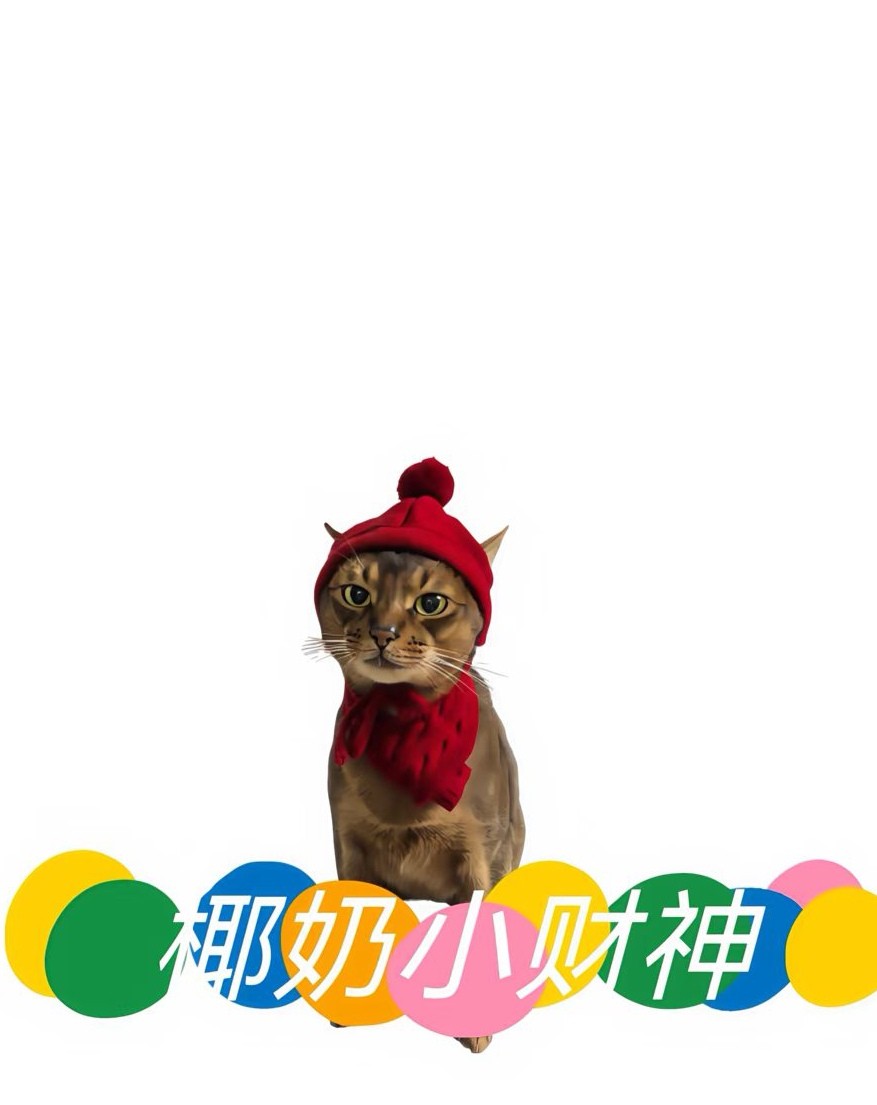 椰奶小财神旗舰店