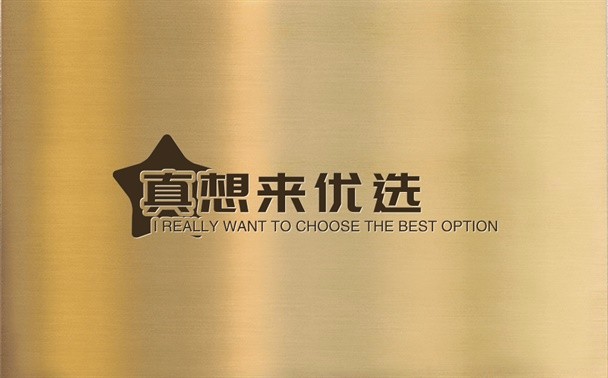 真想来优选